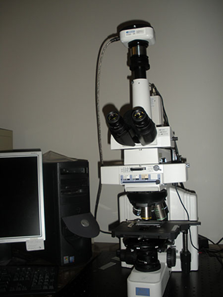Nikon Microscope Eclipse E600 Pol with Trinocular Head